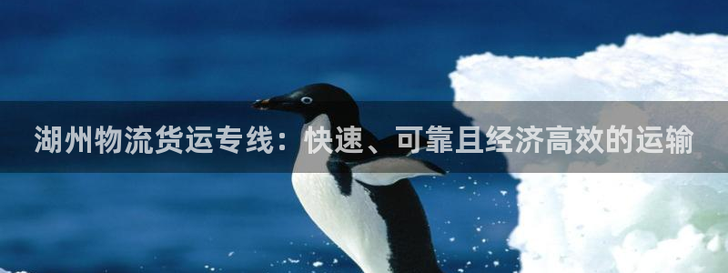 湖州物流货运专线：快速、可靠且经济高效的运输
(图1)