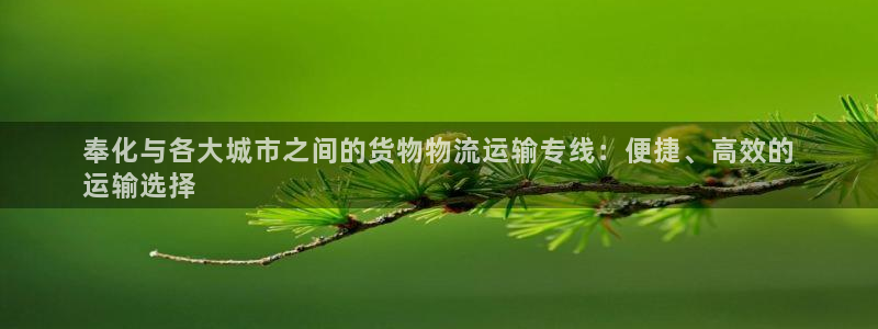 电子游戏888集团网站