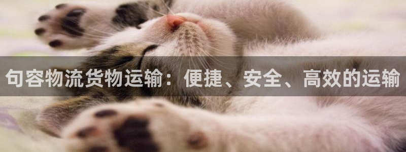 绿色版888集团welcome